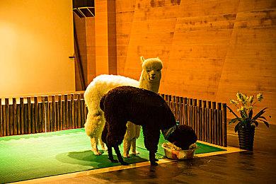 PUBG八周年：战术竞技的八年进化论